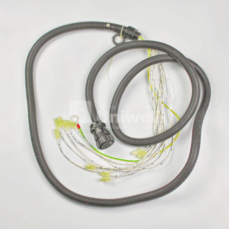 Electrical Special Purpose Harness Assembly for Engine Power